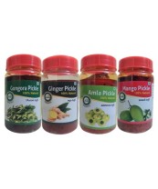  Combo Pickles Pack of 4 Mango, Gongura, Amla, Ginger 